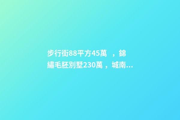 步行街88平方45萬，錦繡毛胚別墅230萬，城南自建房273平帶院165萬